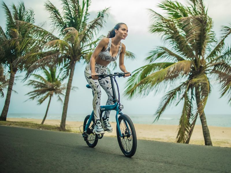 E-Bike Fiido D11